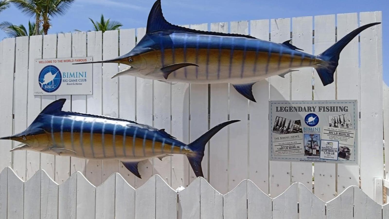Bimini Big Game Club Resort & Marina Alice Town  Exteriör bild
