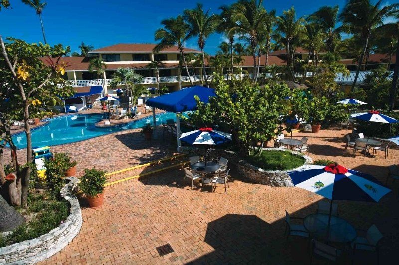 Bimini Big Game Club Resort & Marina Alice Town  Bekvämligheter bild